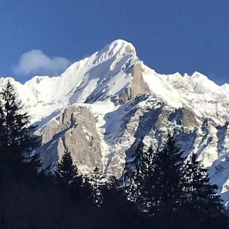 Wychelrain By Interhome 그린델발트