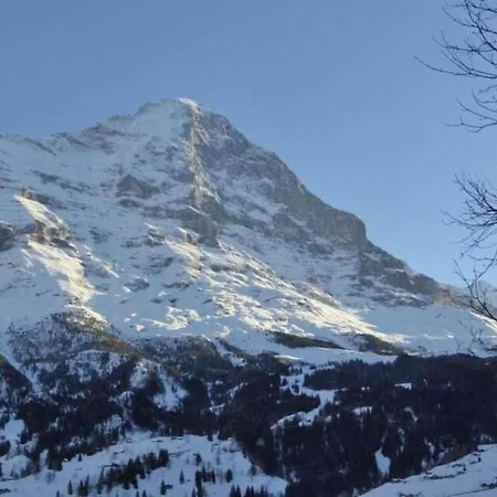 Wychelrain By Interhome 그린델발트