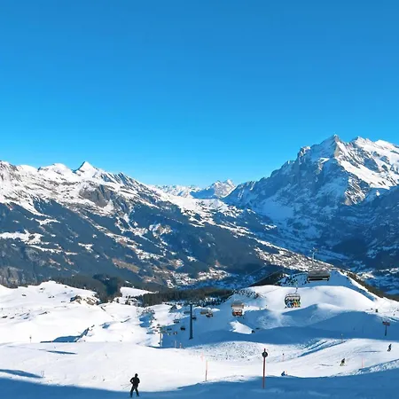 Lejlighed Wychelrain By Interhome Grindelwald