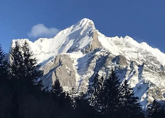 Wychelrain By Interhome Grindelwald