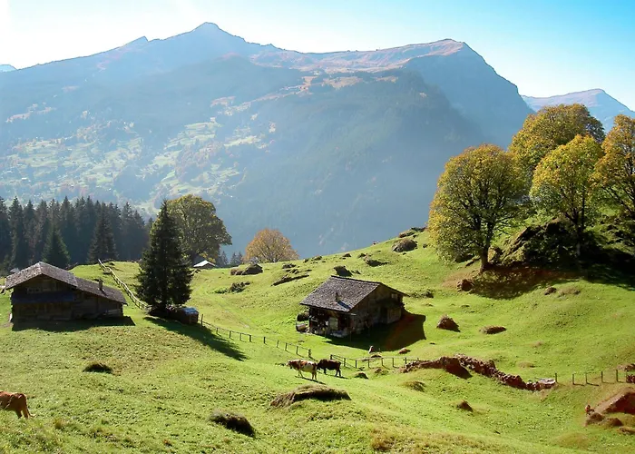 Wychelrain By Interhome *